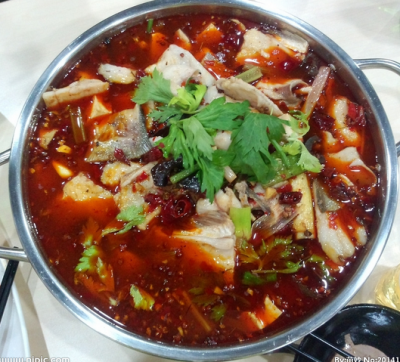 重慶冷鍋魚技術哔咔漫画APP下载