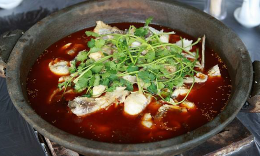 火鍋魚技術哔咔漫画APP下载