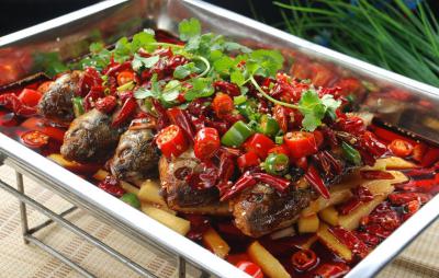 成都溫江烤魚技術哔咔漫画APP下载價格哪家靠譜？