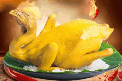 四川鹽焗雞技術哔咔漫画APP下载學校那裏正宗？鹽焗雞的選材處理