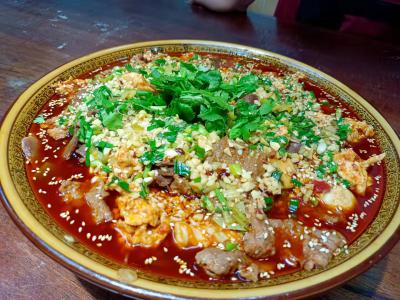  火鍋麻辣冒菜技術哔咔漫画APP下载哪家味道好？