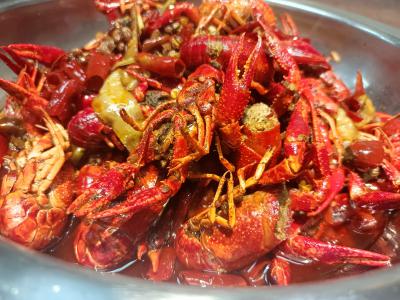  麻辣小龍蝦技術哔咔漫画APP下载學校哪家好？