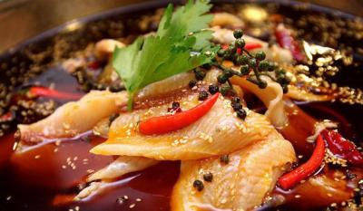 選擇正宗火鍋魚哔咔漫画APP下载機構哪裏好？