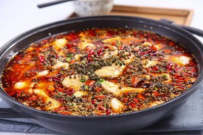 火鍋魚技術哔咔漫画APP下载選正規學校哪家好？