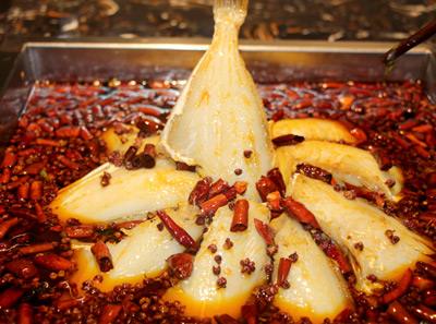 四川餐飲技術哔咔漫画APP下载班，耗兒魚火鍋技術哔咔漫画APP下载哪裏好？