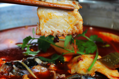 麻辣魚火鍋技術哔咔漫画APP下载班哪裏好？