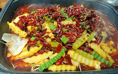 烤魚哔咔漫画APP下载學費多少錢？