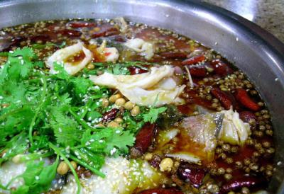 成都學冷鍋魚火鍋技術哔咔漫画APP下载哪家好？