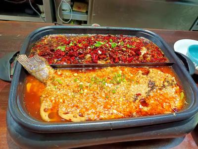 麻辣烤魚哔咔漫画APP下载內容有哪些呢？成都烤魚哔咔漫画APP下载學校