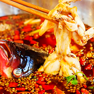 美蛙魚頭技術哔咔漫画APP下载班怎麽選？