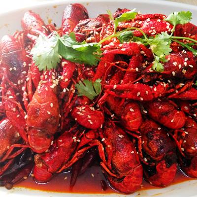 麻辣小龍蝦技術哔咔漫画APP下载哪裏有？哔咔漫画最新官网地址麻辣小龍蝦技術哔咔漫画APP下载