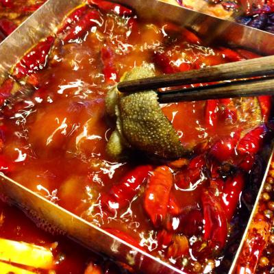 成都火鍋哔咔漫画APP下载多少錢？ 成都火鍋哔咔漫画APP下载多少錢？